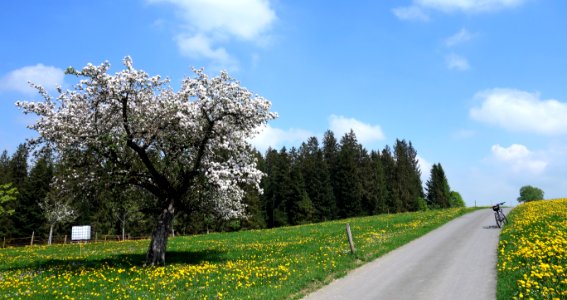 DSC04685 