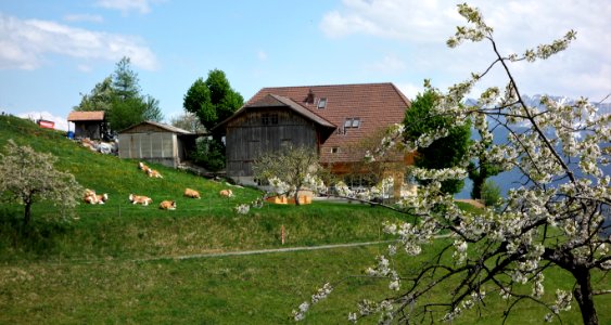 DSC04585 