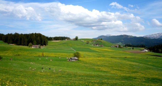 DSC04553 