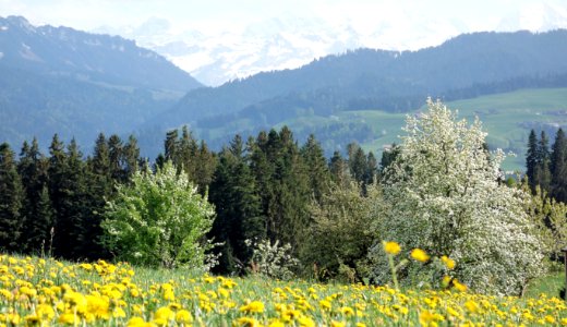 DSC04555 