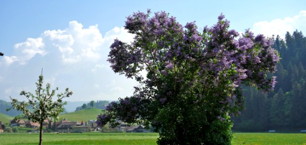 DSC04709 