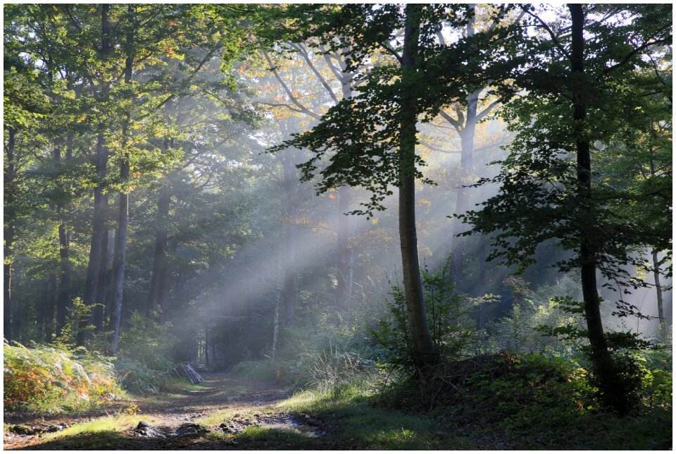Landscape ray of sunshine calm
