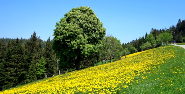 DSC04708 