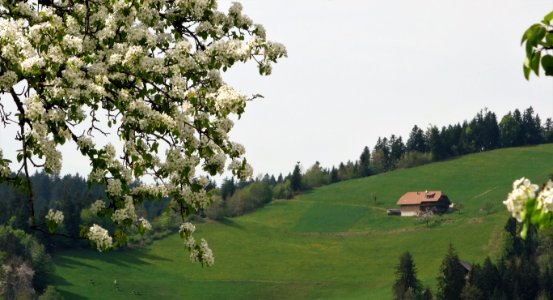 DSC04627 