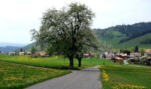 DSC04620 