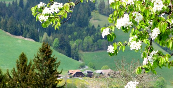 DSC04624 