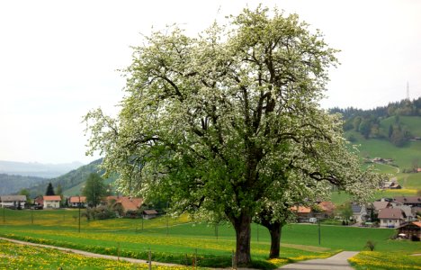 DSC04622 