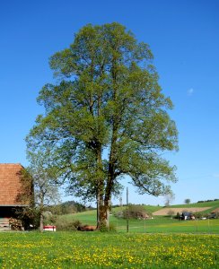 DSC04479 