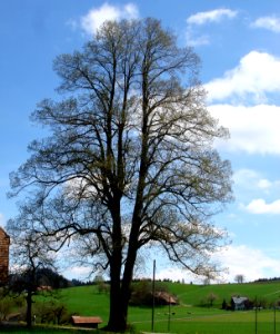 DSC03766 