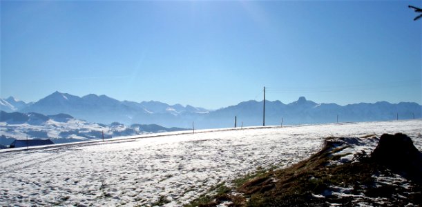 B0000205 