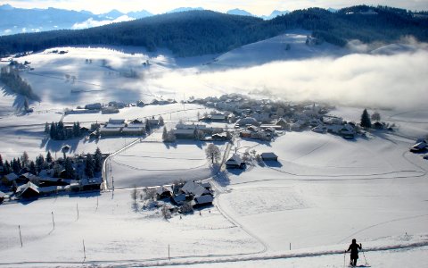 DSC05184 