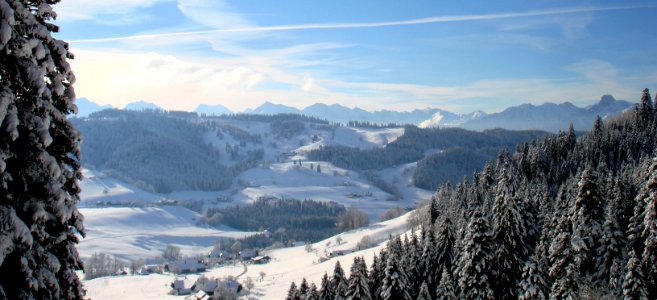 DSC05167 