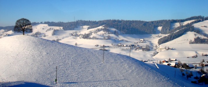 DSC05130 