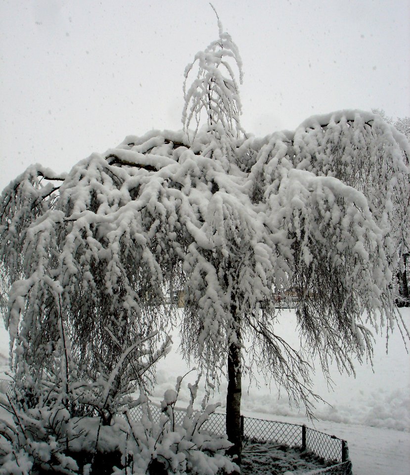 DSC05155 