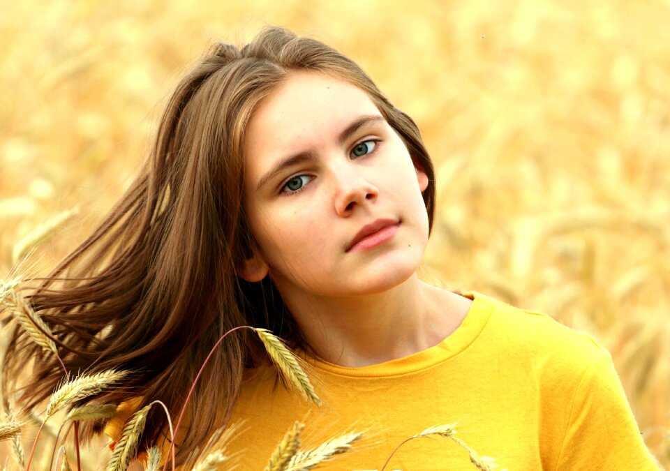 Wheat abundance harvest photo