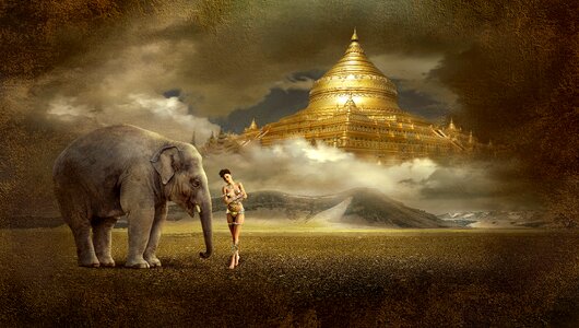 Mystical elephant ray of hope