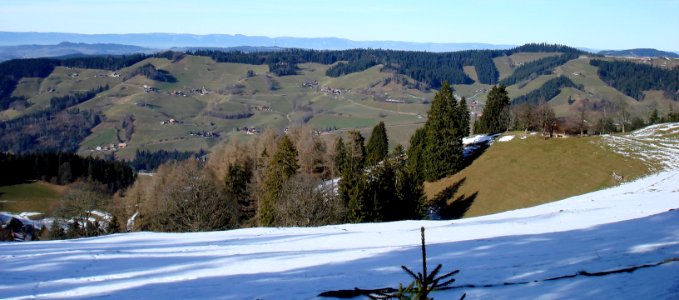 DSC08271 