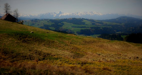 DSC04464 