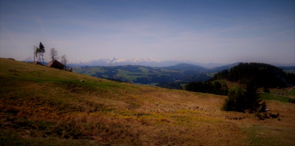 DSC04463 