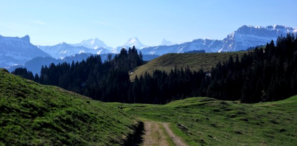 DSC04407 