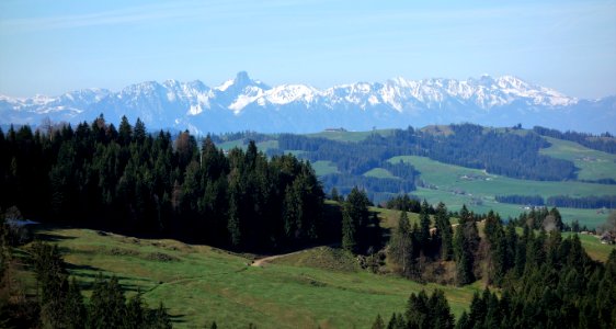 DSC04406 