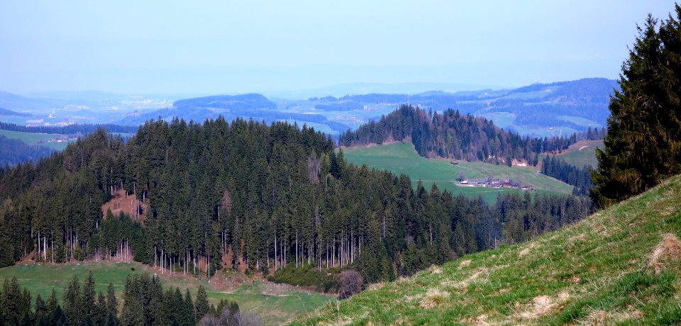 DSC04405 