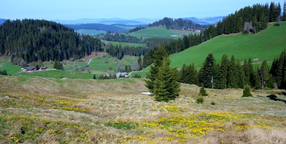 DSC04401 