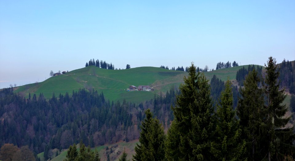 DSC04340 