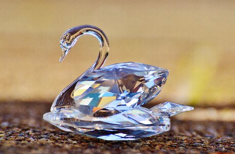 Noble beautiful shine