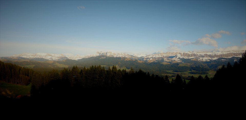 DSC04339 