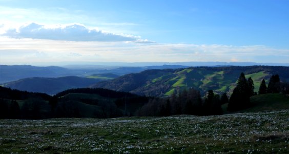 DSC04335 