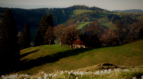 DSC04316 