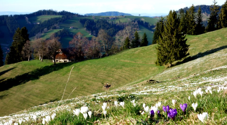 DSC04306 