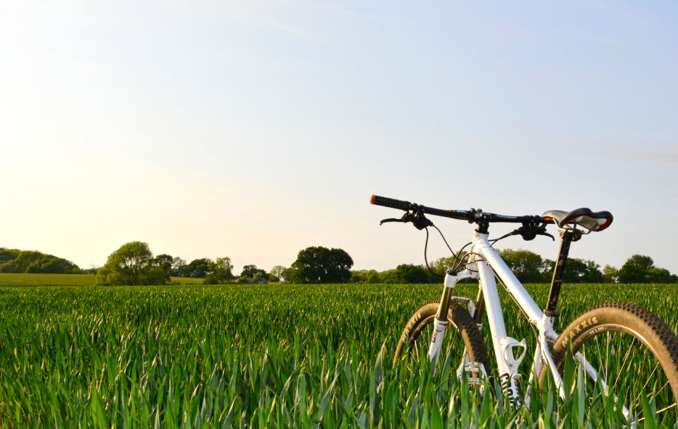 Cropland farm field