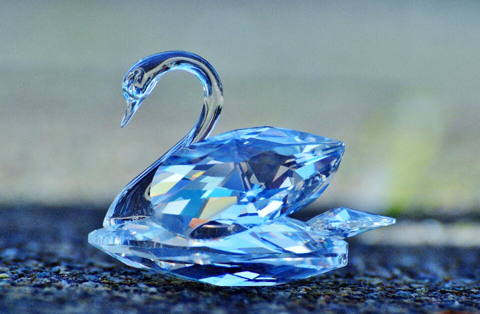 Noble beautiful shine