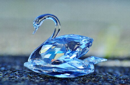 Noble beautiful shine