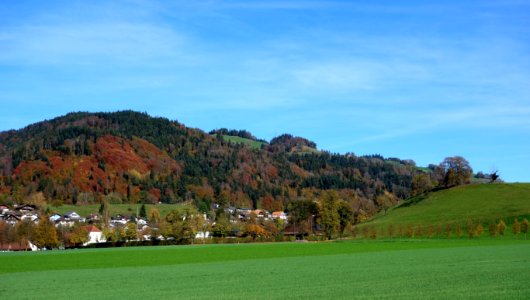 DSC03680 
