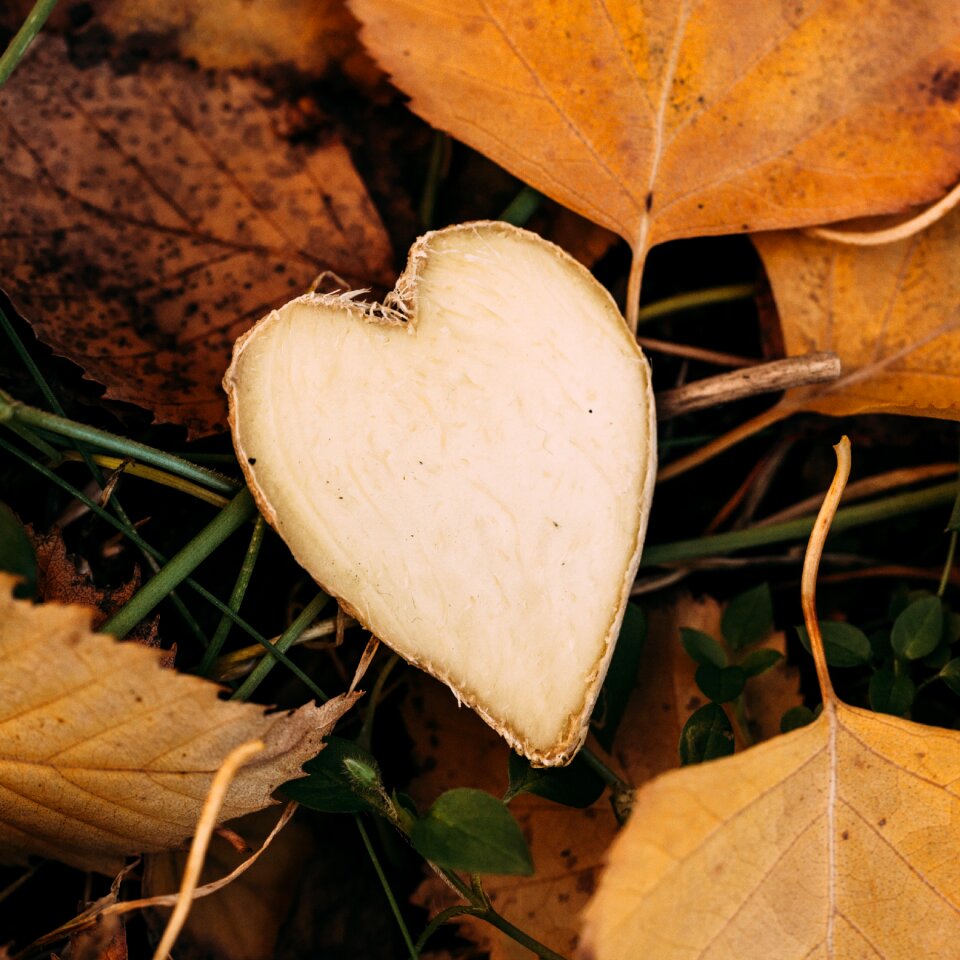 Love sweet decoration