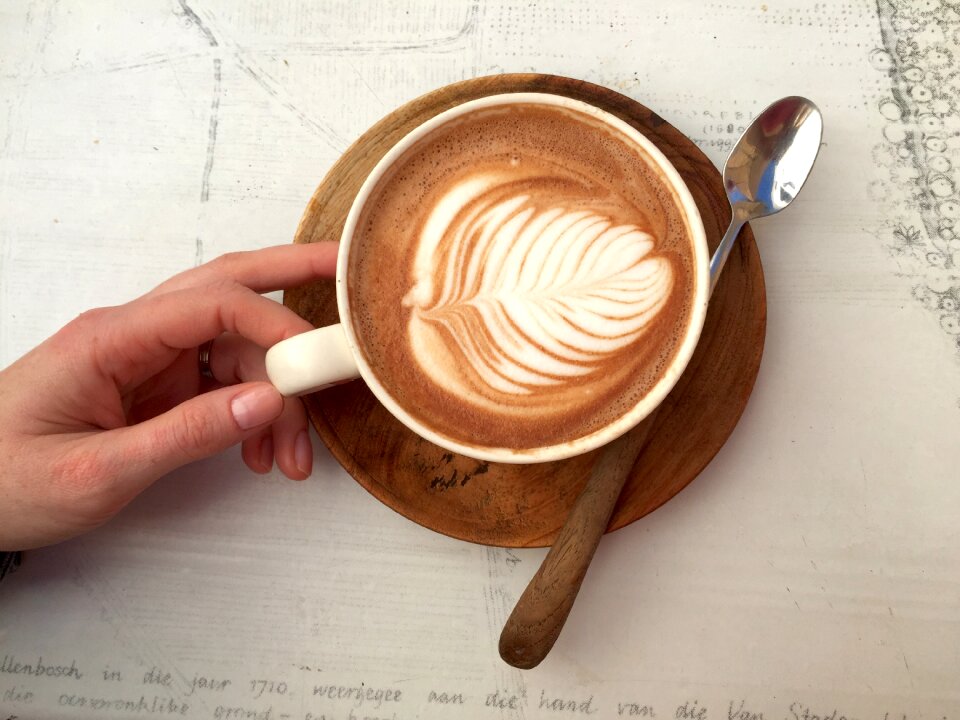 Coffee shop cup cup of coffee