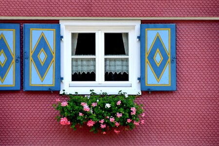 Window flower window facade