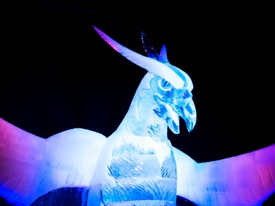 Ice age art exhibition