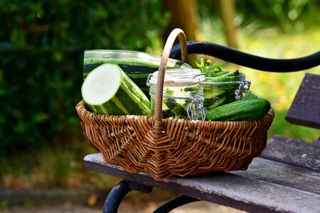Harvest garden vegetable basket