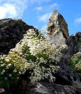 DSC00746 