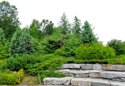 DSC00720b 