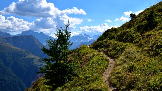 Nature path trail