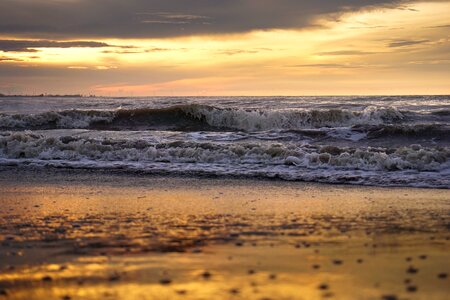 Aceh golden sunny