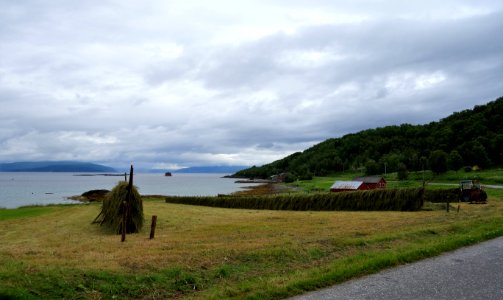 DSC00360 