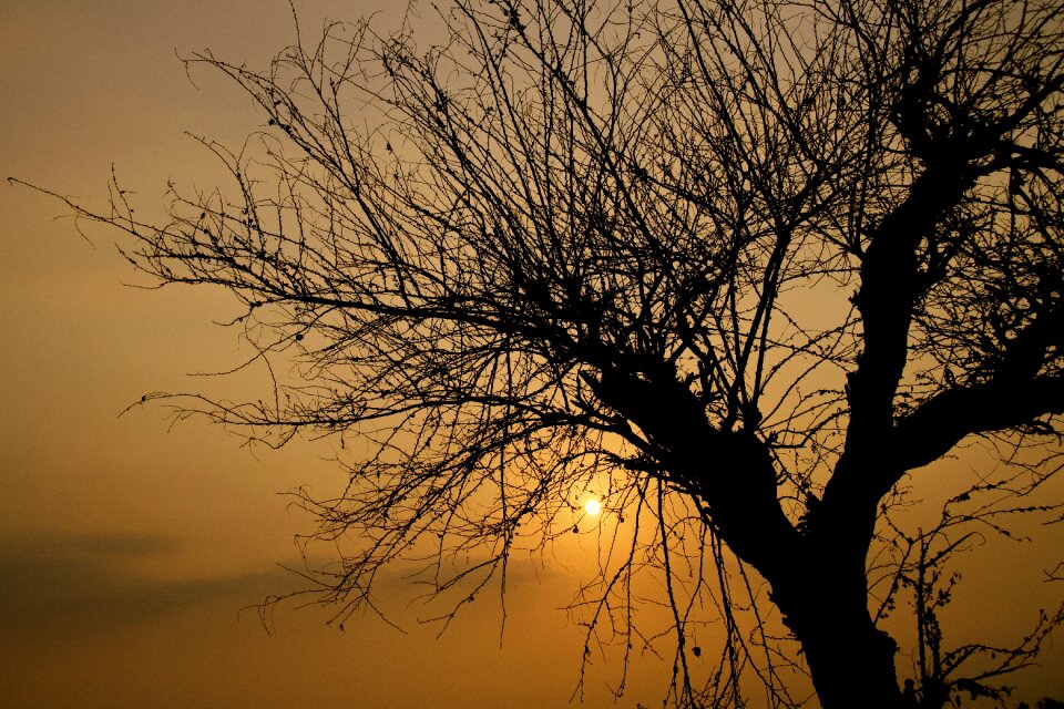 Nature sun landscape