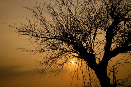 Nature sun landscape