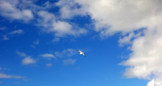 DSC09959 